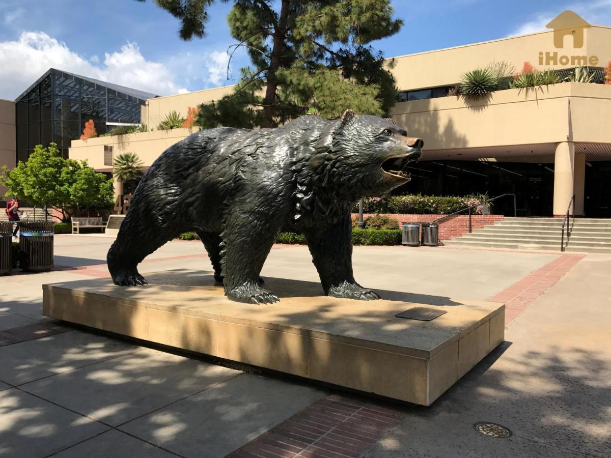 Perfect Apt Near Ucla W Parking Gym Pool Wifi In Westwood B3 Лос-Анджелес Экстерьер фото